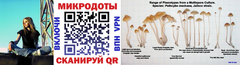 Галлюциногенные грибы Magic Shrooms  Купить  Ефремов 